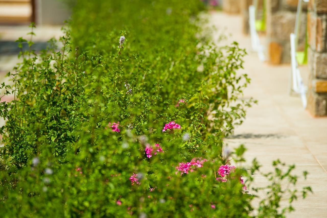 Olive Land Villas Limenaria  Zewnętrze zdjęcie