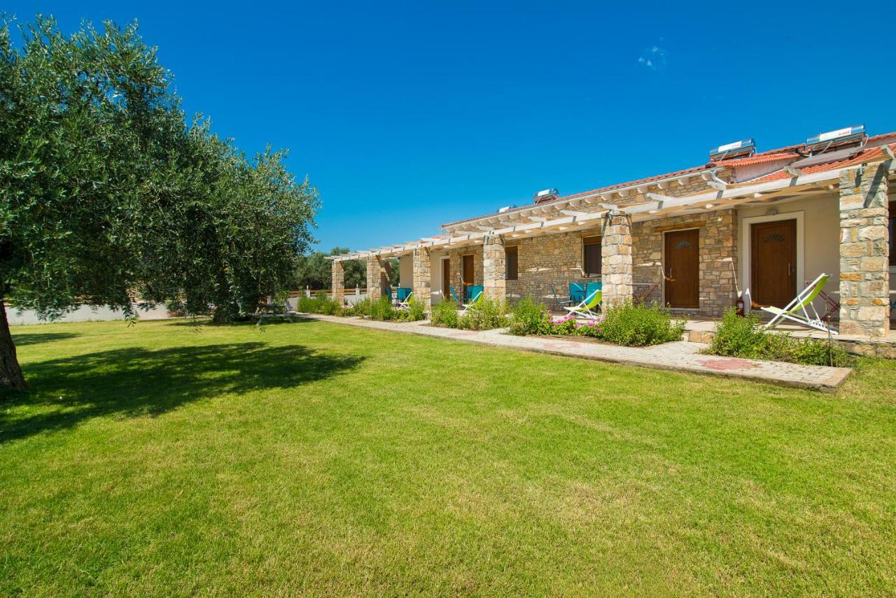 Olive Land Villas Limenaria  Zewnętrze zdjęcie